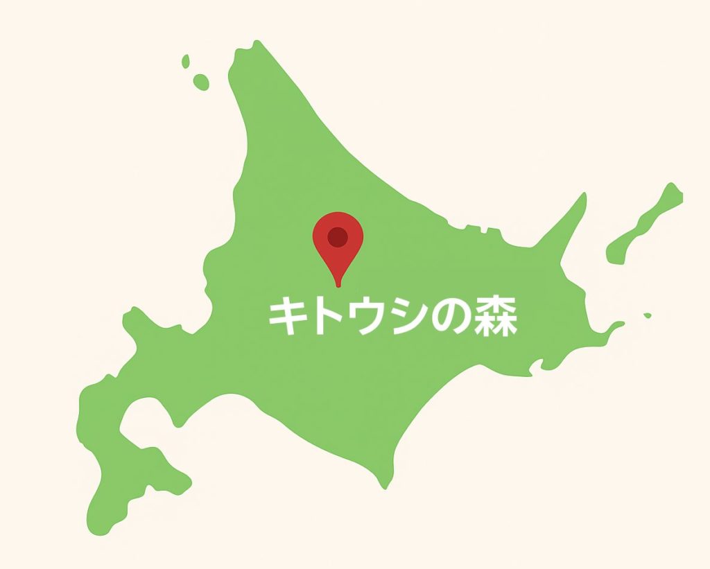 キトウシの森の場所