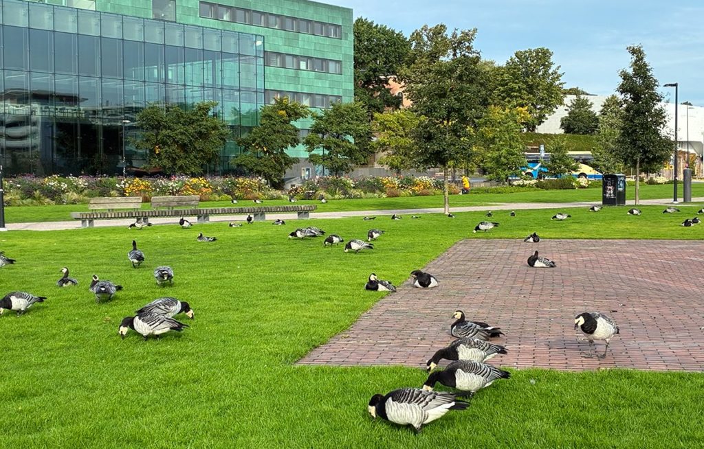 ヘルシンキ旅行